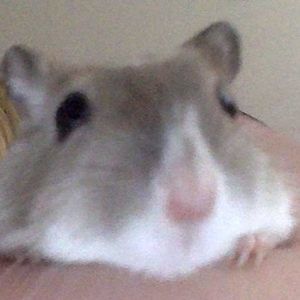 Meet your Posher, Emma lynn